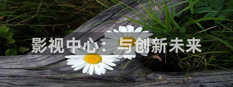宅男视频在线观看视频：影视中心：与创新未来
