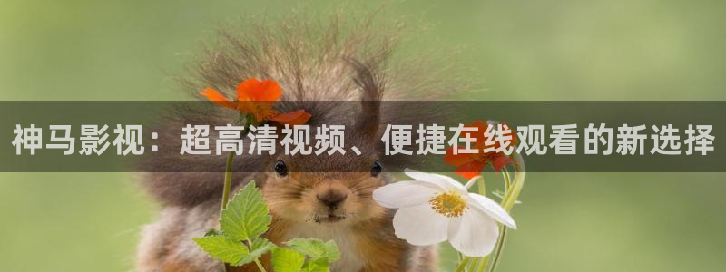 宅男视频.com：神马影视：超高清视频、便捷在线观看的新选择