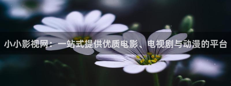 宅男视频网址导航：小小影视网：一站式提供优质电影、电视剧与动漫的平台