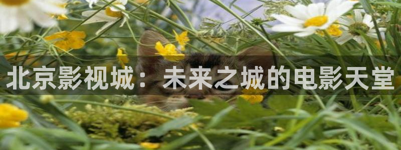 宅男视频神马视频：北京影视城：未来之城的电影天堂