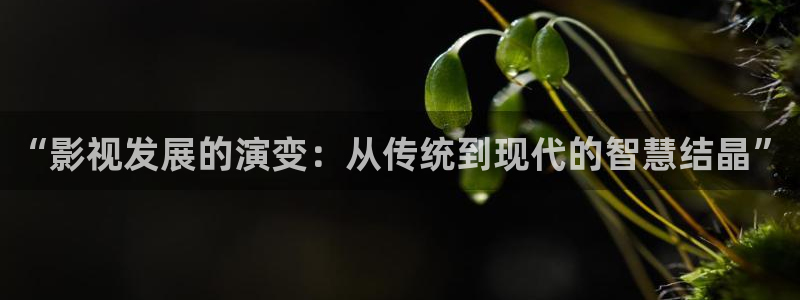 宅男视频,：“影视发展的演变：从传统到现代的智慧结晶”
