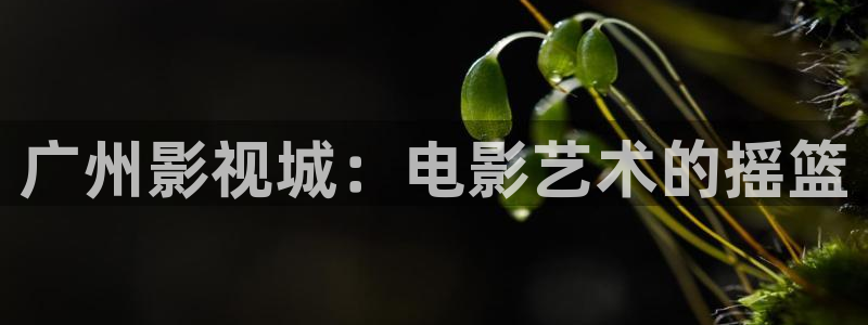 宅男视频在线观看高清：广州影视城：电影艺术的摇篮