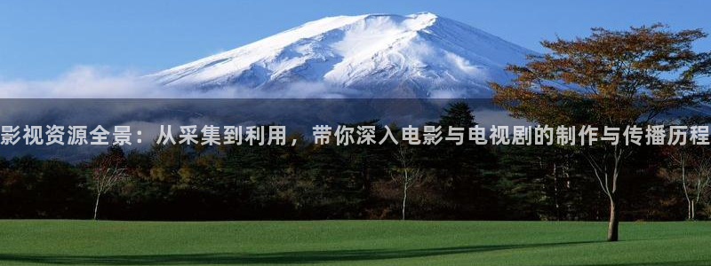 深夜宅男视频在线播放：影视资源全景：从采集到利用，带你深入电影与电视剧的制作与传播历程
