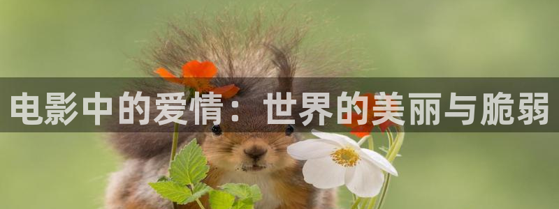宅男视频软件：电影中的爱情：世界的美丽与脆弱