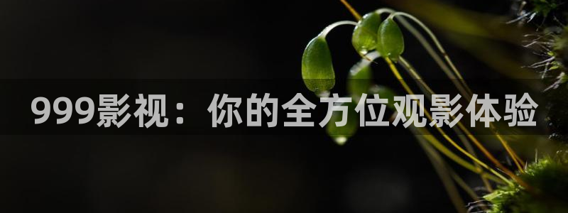 宅男视频无删减：999影视：你的全方位观影体验